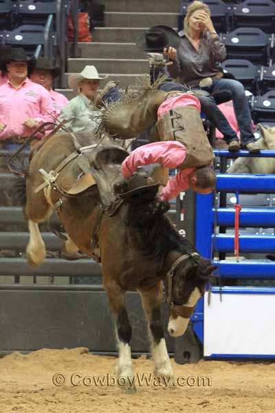 A bronc rider flies high over the head of a bronc