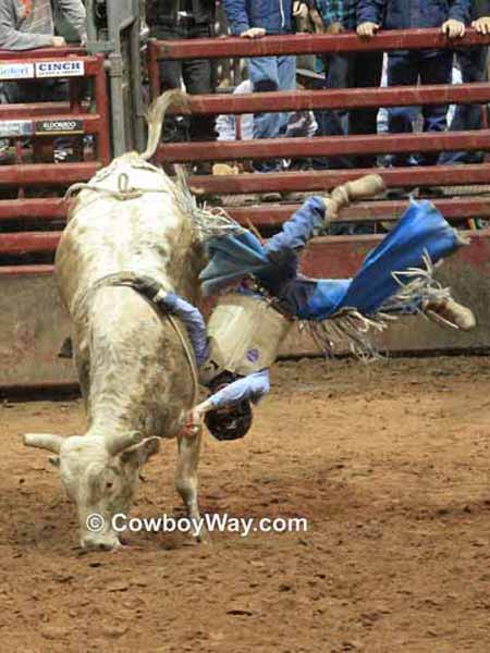 Close-up of a bull rider going off the back of a bull