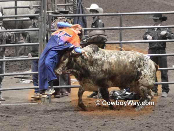 A man gets picked up on the horns of a bucking bull
