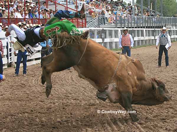 A bull rider getting bucked off