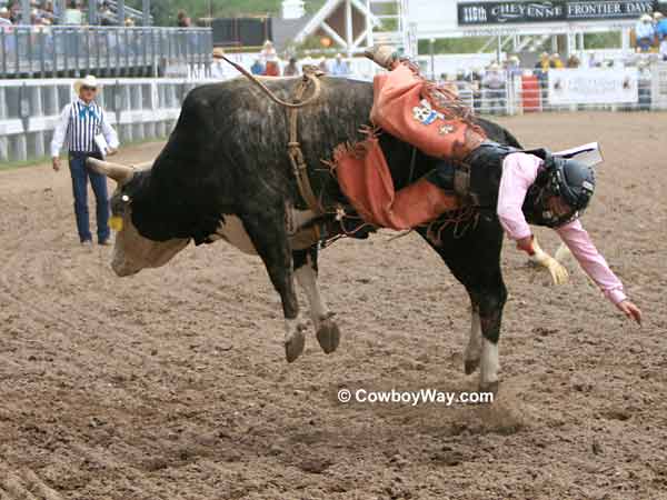 A bull rider gets bucked off