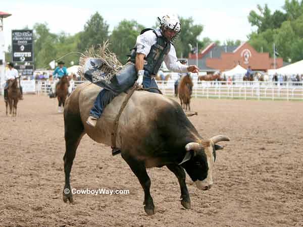 A bull rider