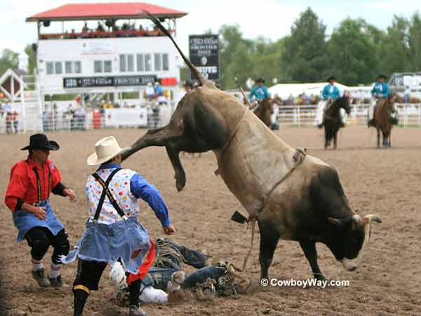 A bull rider gets bucked off