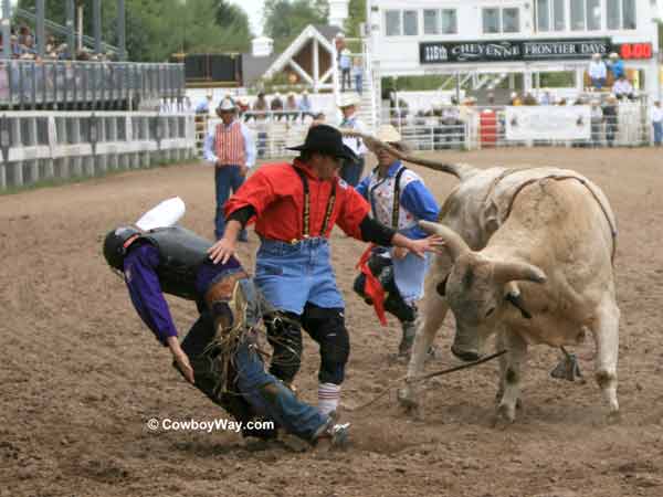 Bull fighters protect a bull rider