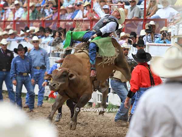 Bull riding at Cheyenne Frontier Days.