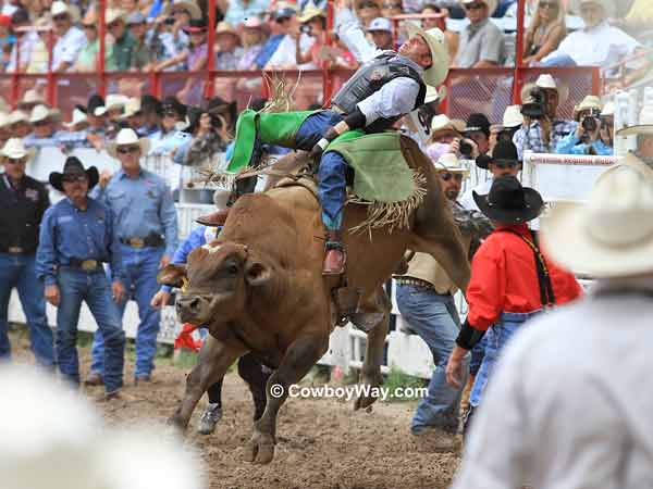 Cheyenne Frontier Days Bull Riding Photos