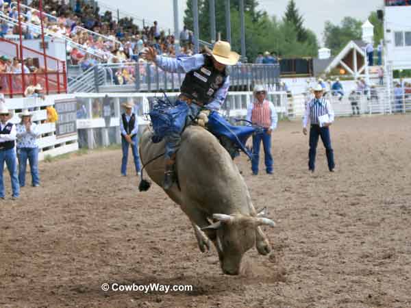 Riding a bull at the Cheyenne Frontier Days Rodeo