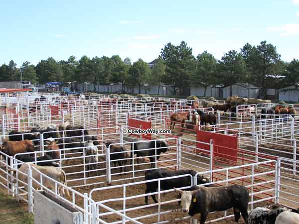 Livestock pens at Frontier Park