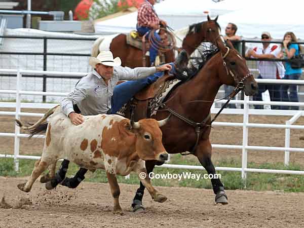 A steer wrestler prepares to leave his horse