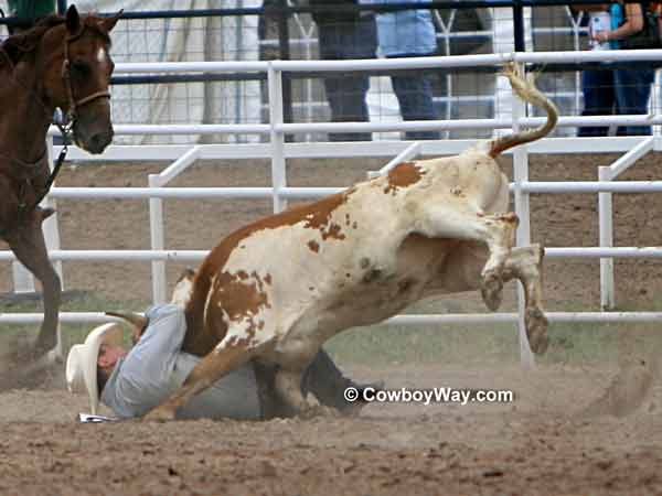 Chance Carlson wrestles a steer