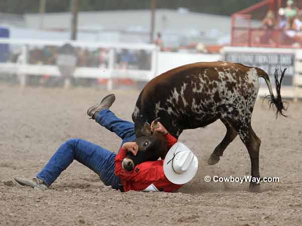 Steer wrestler has trouble with a steer