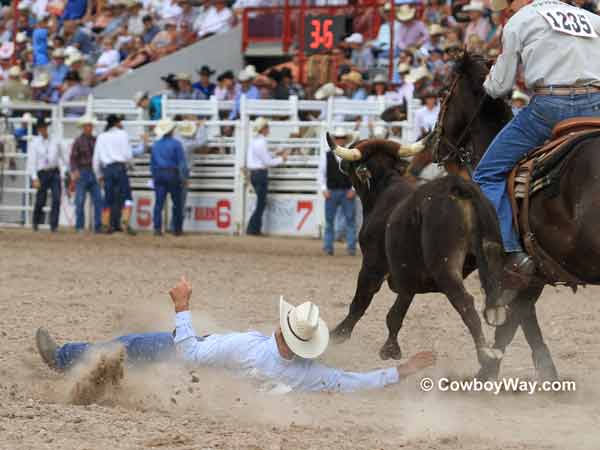 A steer wrestler crashes to the ground