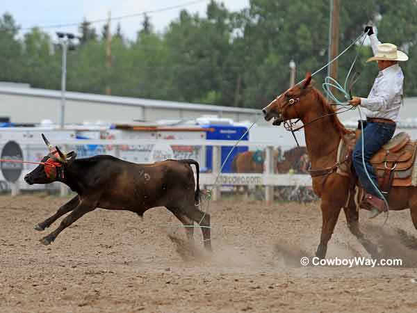 Team roping at the Cheyenne Frontier Days Rodeo