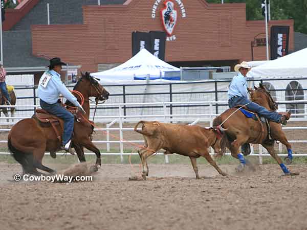 Team roping: Allen Bach (left) and Joel Bach 
(right)