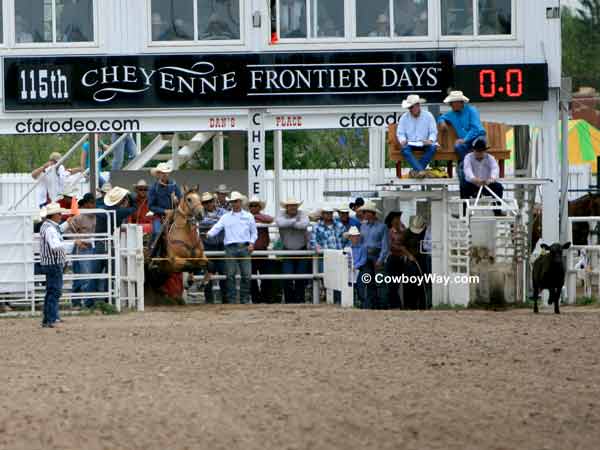 A tie-down roper at Cheyenne Frontier Days