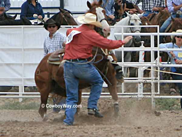 A calf roping horse with his leg 
over the rope