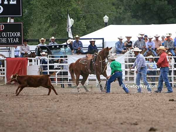 A tie-down roping calf lopes away