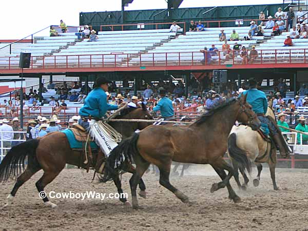 116 Cheyenne Frontier Days Wild Horse Stock Photos, High-Res