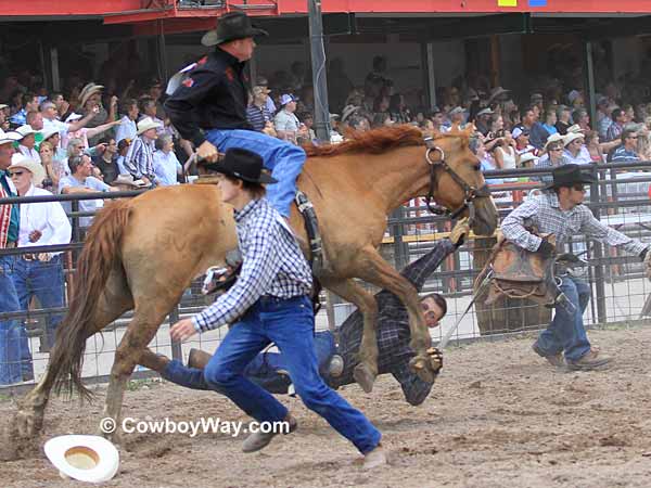 A contestant gets run over by a wild horse