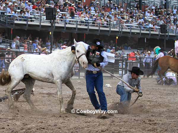 Wild horse race at Cheyenne, WY