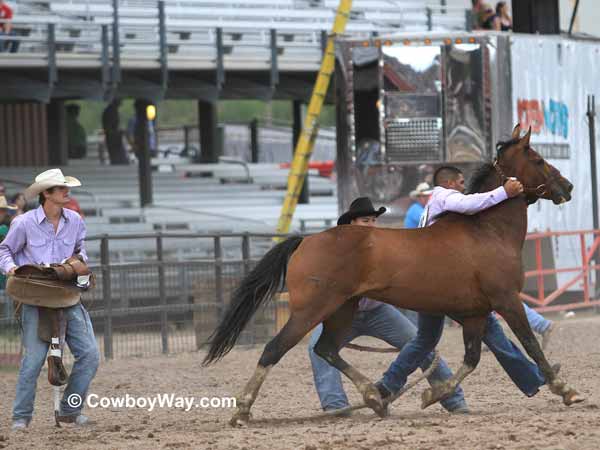 Wild horse racing 
team #48, the Colby Berry/Jackson's Sports Bar and Grill team