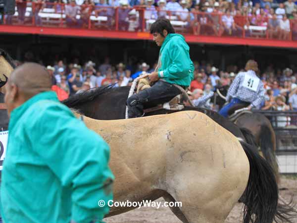 A wild horse turns and goes the wrong direction