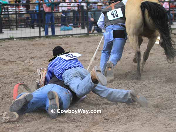 A wild horse racing team jumps on a lead rope