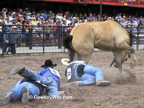 A wild horse drags three contestants