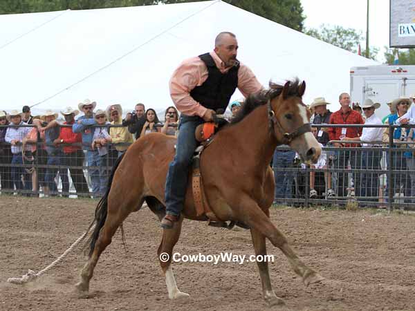 Carrying a rider, a wild horse lopes down the racetrack