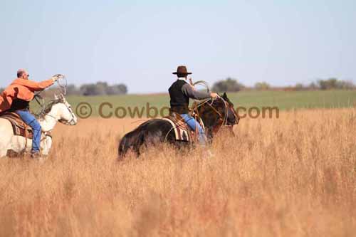 CRCM Pasture Roping, 11-07-15 - Photo 03