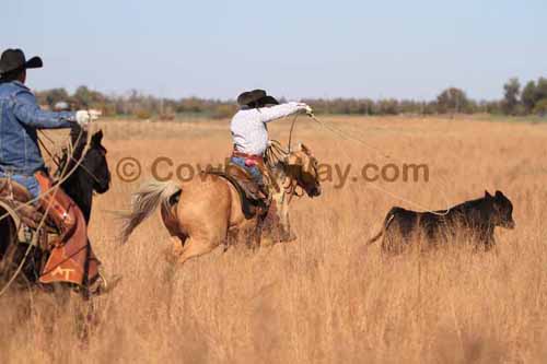 CRCM Pasture Roping, 11-07-15 - Photo 06