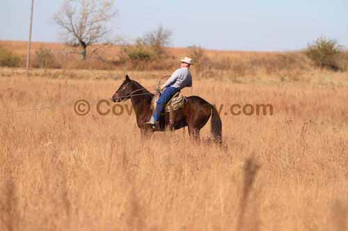 CRCM Pasture Roping, 11-07-15 - Photo 11