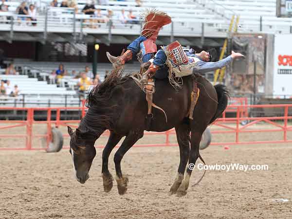 Kaycee Field and Dinner Bell