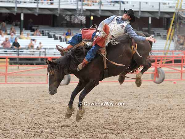 Bareback bronc rider Kaycee Field on bronc Dinner Bell