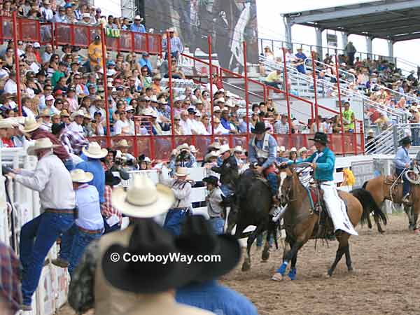Pickup men move in on a bronc rider in front of the bucking chutes