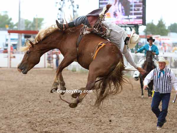 Bryan Jones makes a wild ride on bareback bronc Power Play