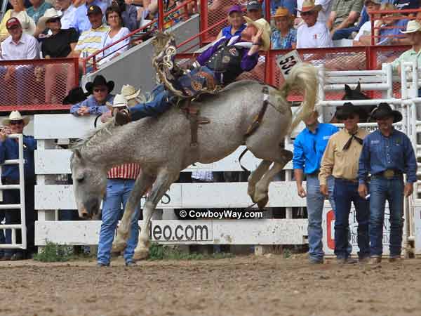 Tilden Hooper and Little Pinon