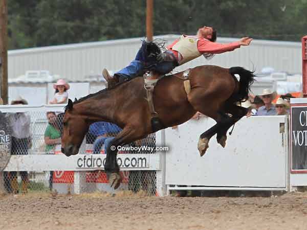 Bronc rider Chase Erickson and bronc Mountain Cat