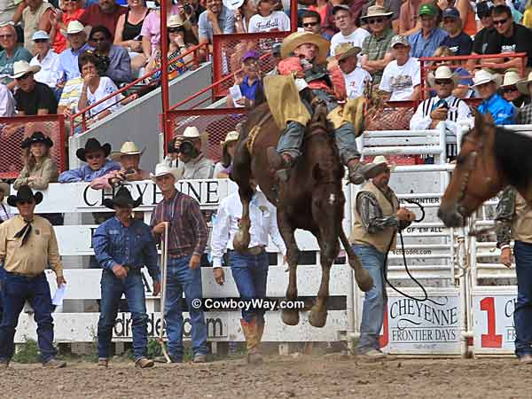 Bareback bronc riding