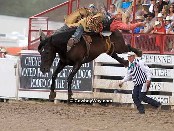 A bronc rider and his bronc, high off the ground