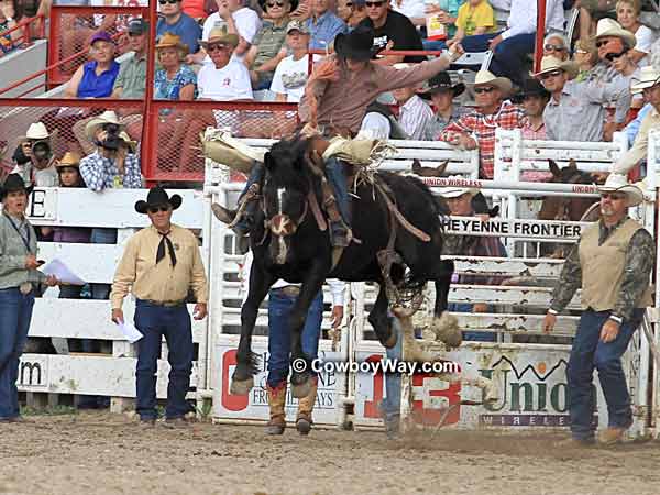 Saddle bronc rider 
Sterling Crawley, College Station, TX and saddle bronc MGM