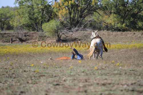 Chops Pasture Roping, 10-04-12 - Photo 45