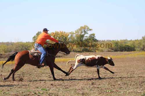 Chops Pasture Roping, 10-04-12 - Photo 53