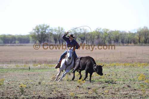 Chops Pasture Roping, 10-04-12 - Photo 60