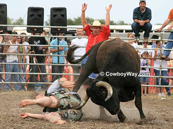 Circle Of Fear bull horns a man