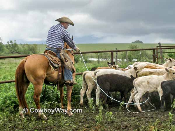 A cowboy ropes heels