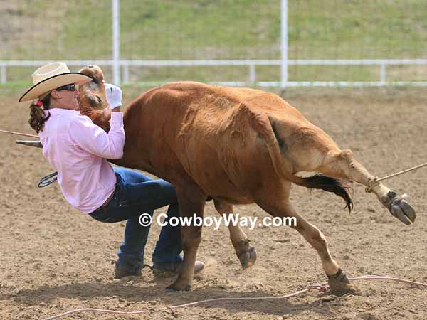 Cowgirl mugging a steer