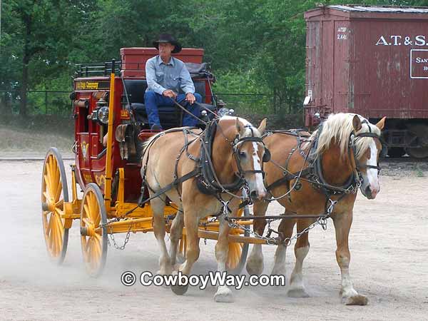 Draft horses: Belgians pull a stagecoach