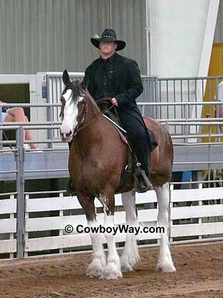 A Clydesdale being ridden