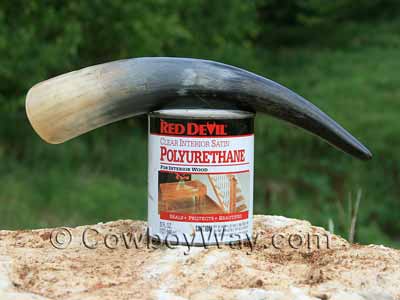 A cow or steer horn and polyurethane